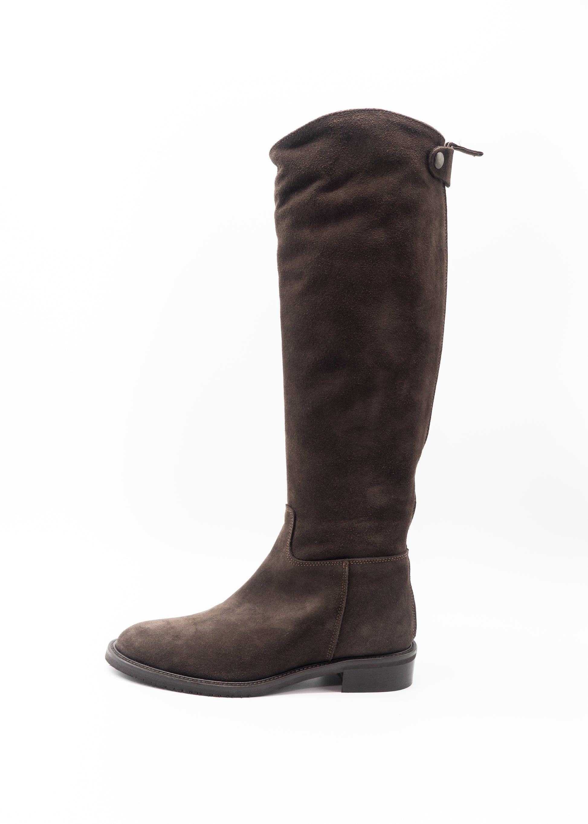 JD-CAVALLERIZZO CROSTA CORVINO