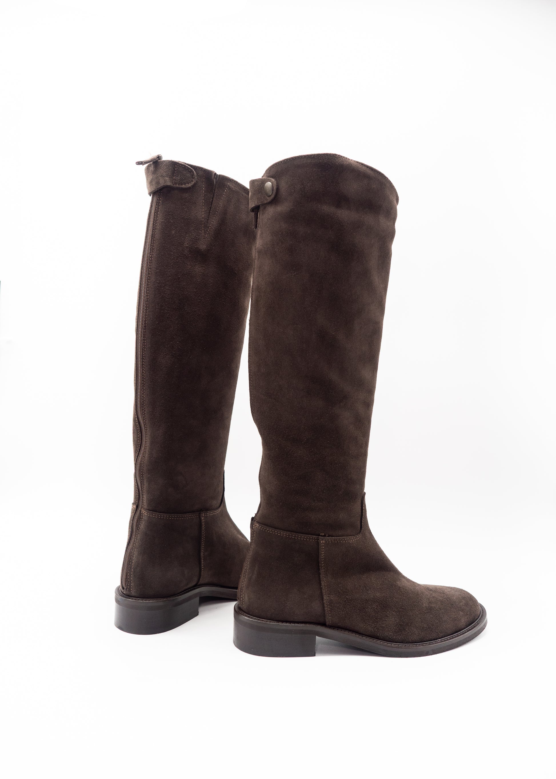 JD-CAVALLERIZZO CROSTA CORVINO