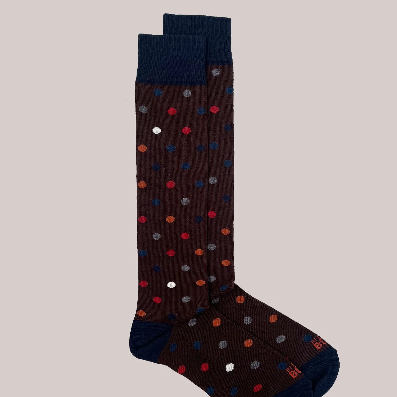 SOX IN THE BOX - CALZA LUNGA  POIS MARRONE