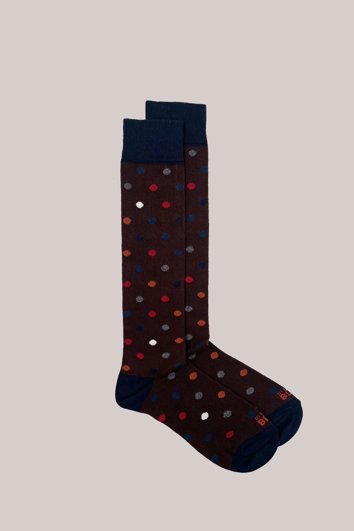 SOX IN THE BOX - CALZA LUNGA  POIS MARRONE