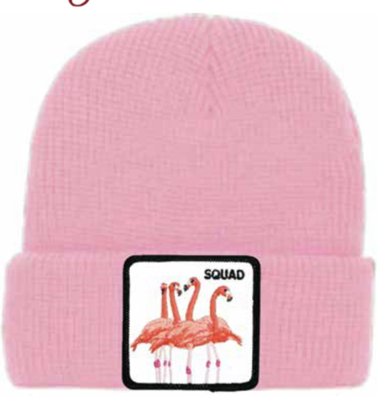 GOORIN BROS - BEANIE PINK SQUAD