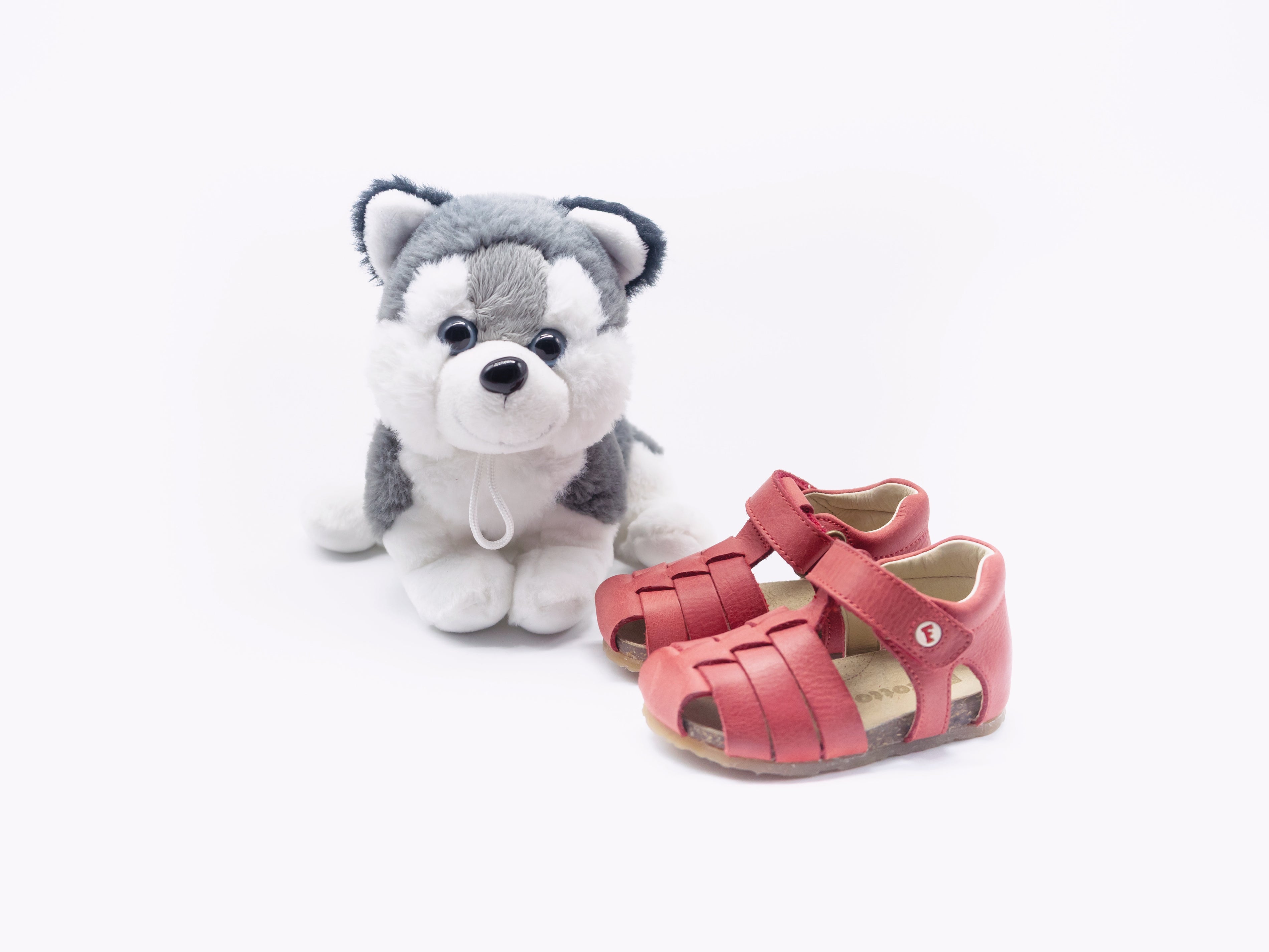 FALCOTTO - GABBIETTA ALBY ROSSA