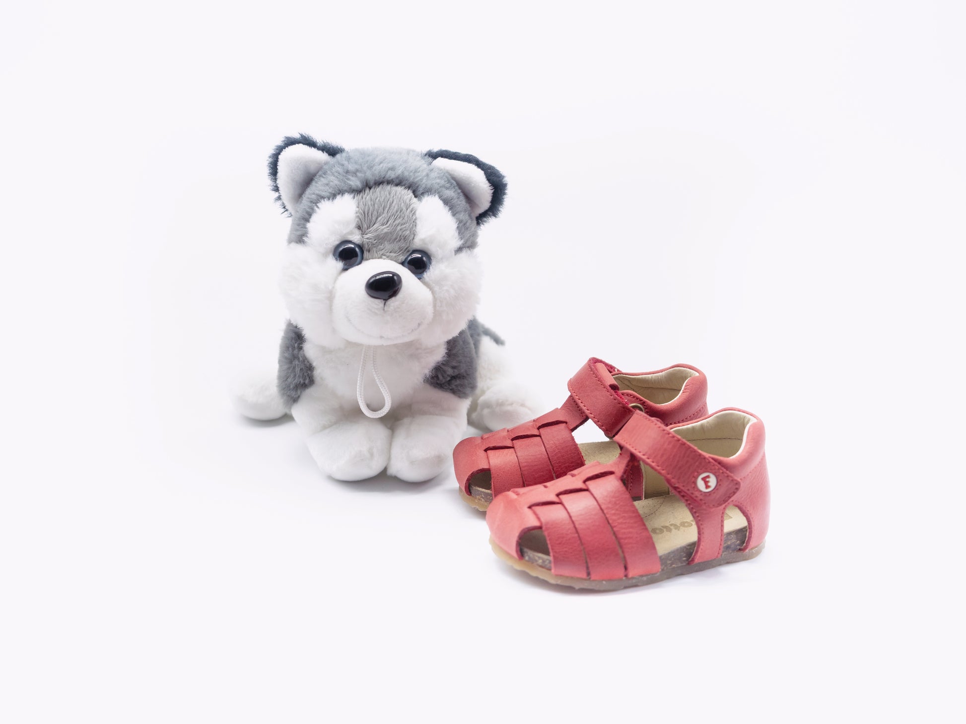 FALCOTTO - GABBIETTA ALBY ROSSA